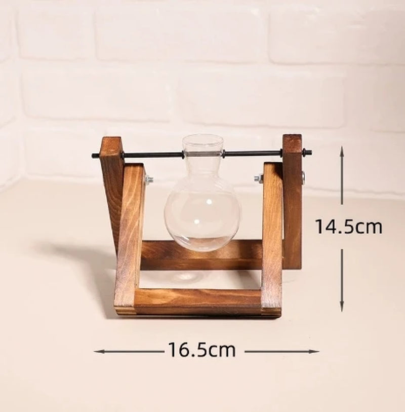 Wooden Frame Hydroponic Planter with Glass Bulb - Indoor Bonsai Plant Vase for Home Tabletop Office Desk Modern Decor