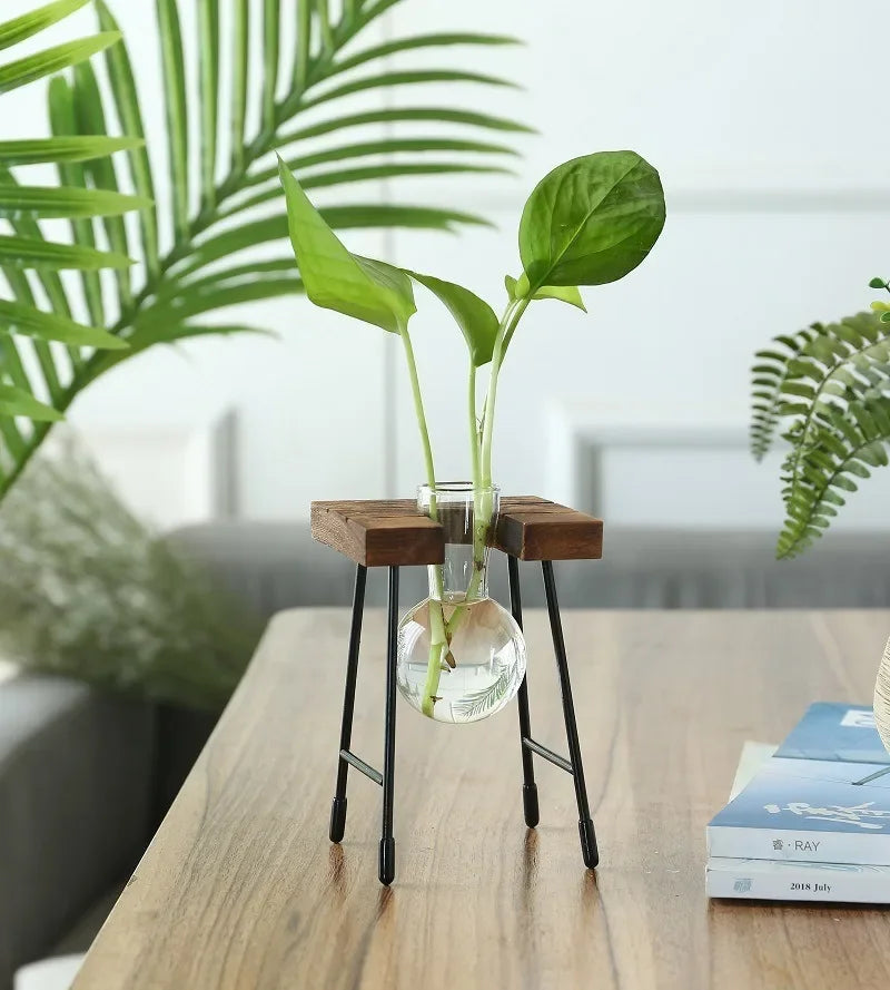 Wooden Frame Hydroponic Planter with Glass Bulb - Indoor Bonsai Plant Vase for Home Tabletop Office Desk Modern Decor