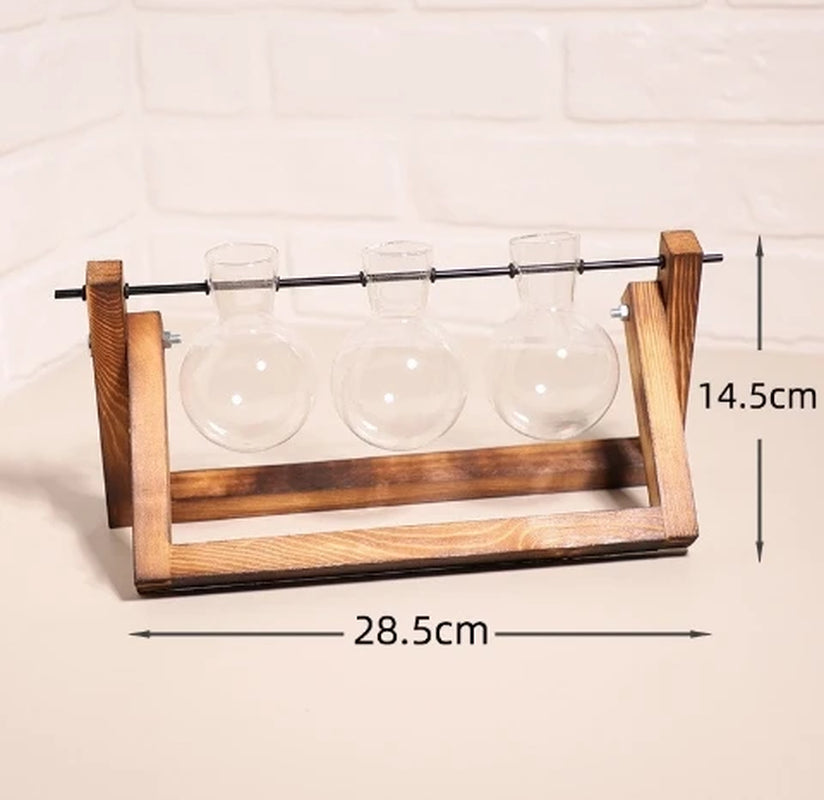 Wooden Frame Hydroponic Planter with Glass Bulb - Indoor Bonsai Plant Vase for Home Tabletop Office Desk Modern Decor