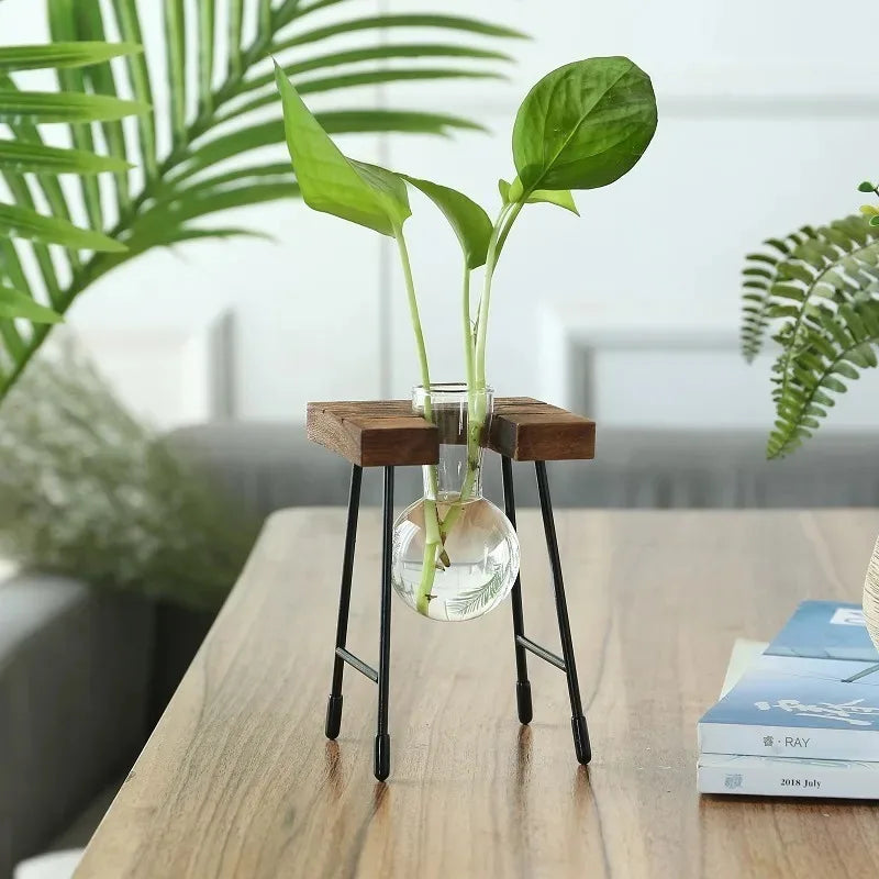 Wooden Frame Hydroponic Planter with Glass Bulb - Indoor Bonsai Plant Vase for Home Tabletop Office Desk Modern Decor